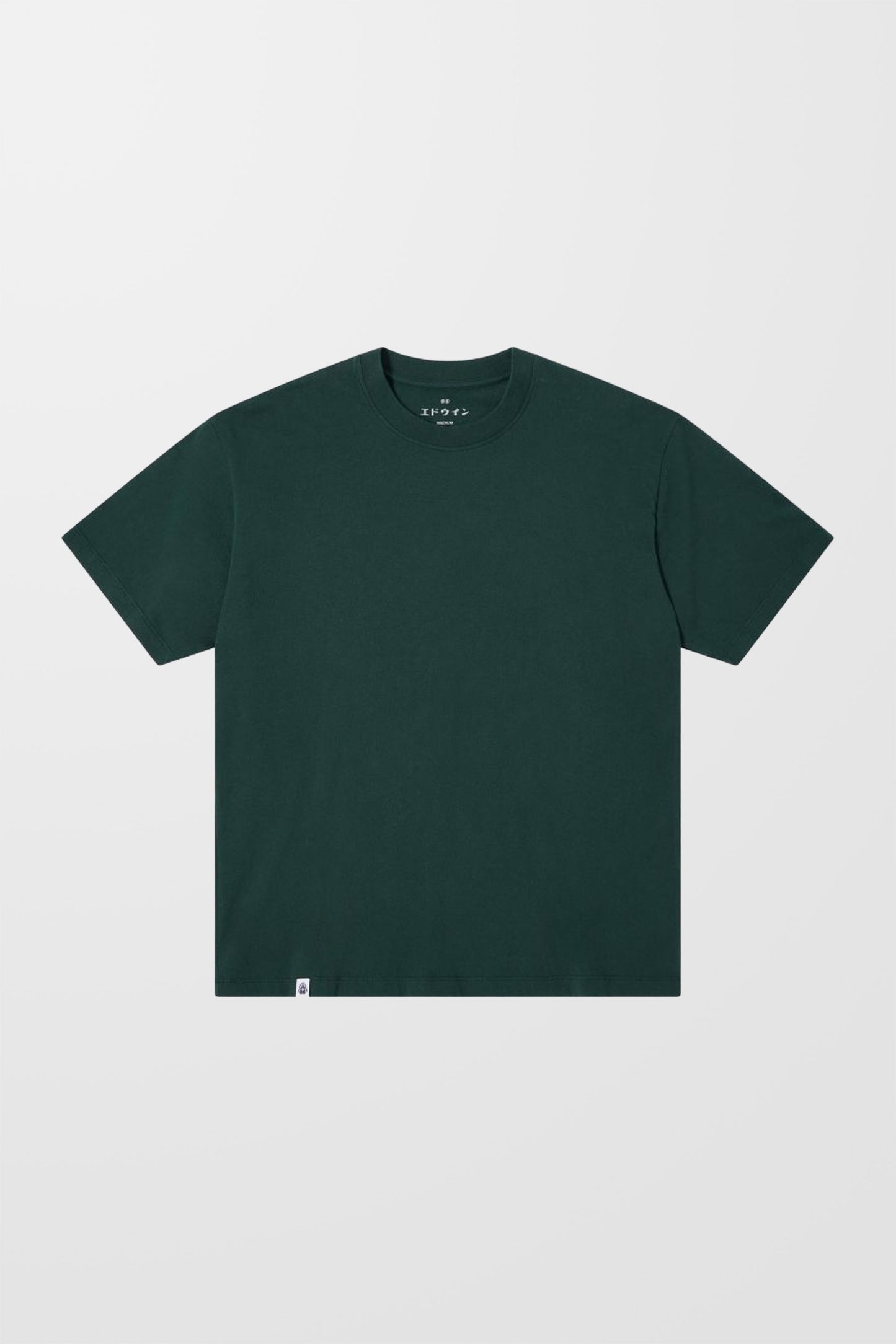 Oversized Basic Plain T-Shirt (in Green)